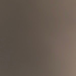 Meet your Posher, Tameka